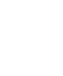 Community Safety Icon